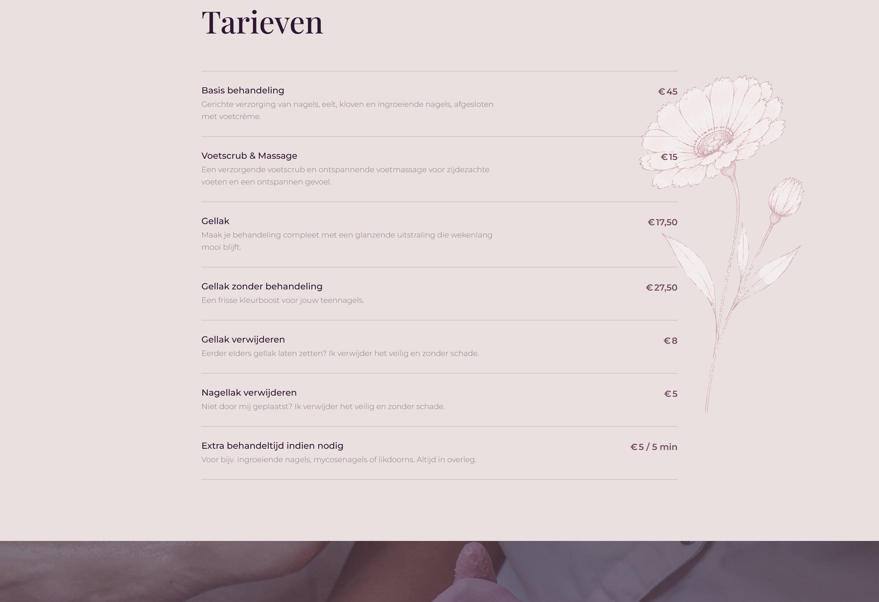 JoySole pricing and tariffs section